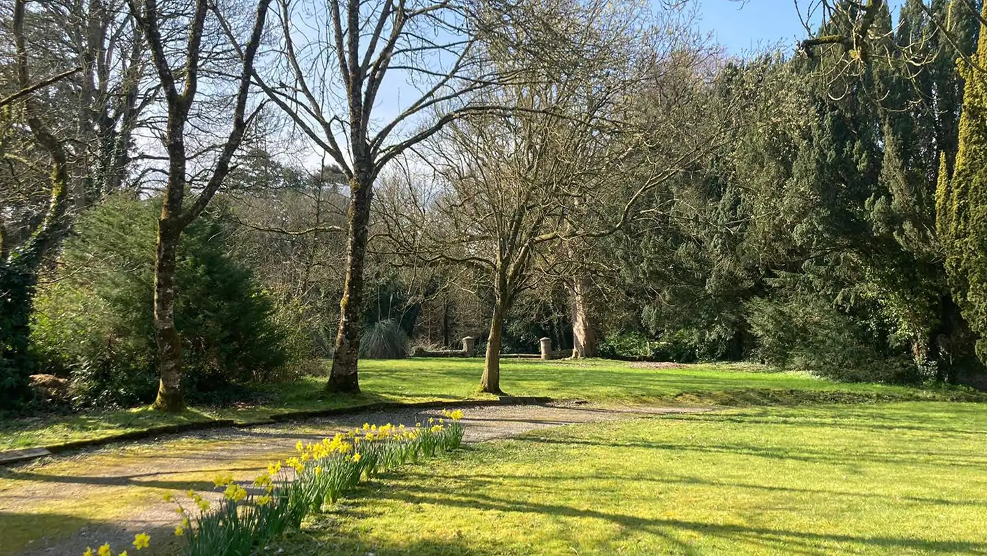 Picture of the gardens in one of the castle health facilities